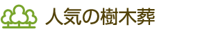 人気の樹木葬